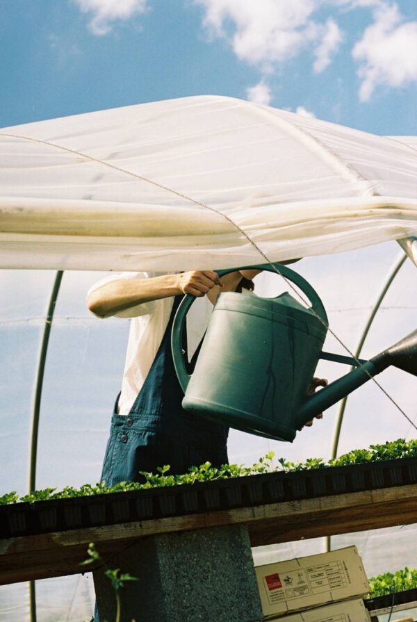 Aaltjes tegen Engerlingen