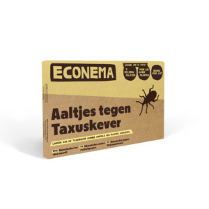 Aaltjes tegen Taxuskever