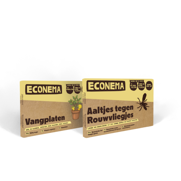 combipakket rouwvlieg en vangplaten combipakket rouwvlieg en vangplaten