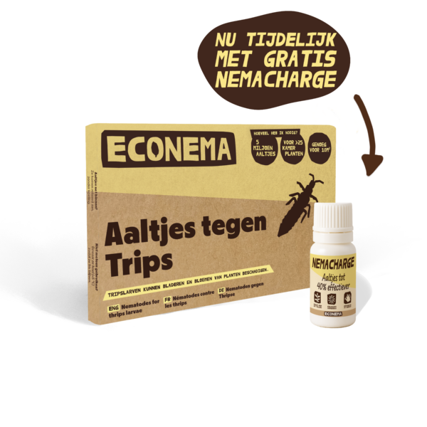 trips aaltjes booster Aaltjes tegen Tripsen