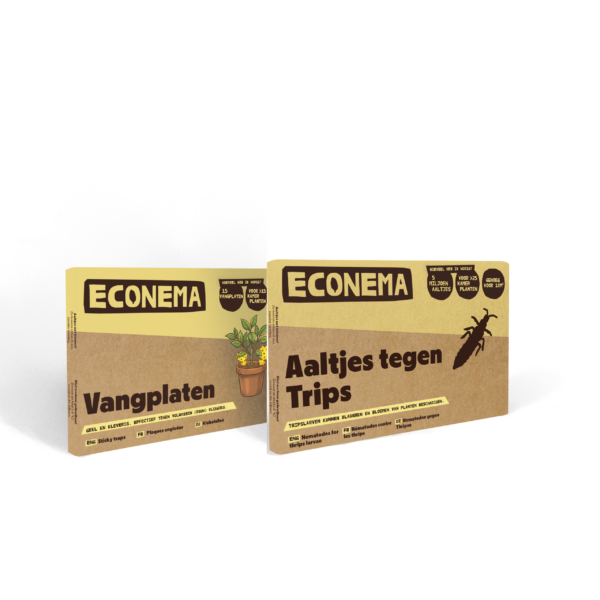 Combipakket Econema aaltjes tegen trips met gele vangplaten