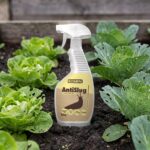 Slakken weren in de moestuin met AntiSlug spray