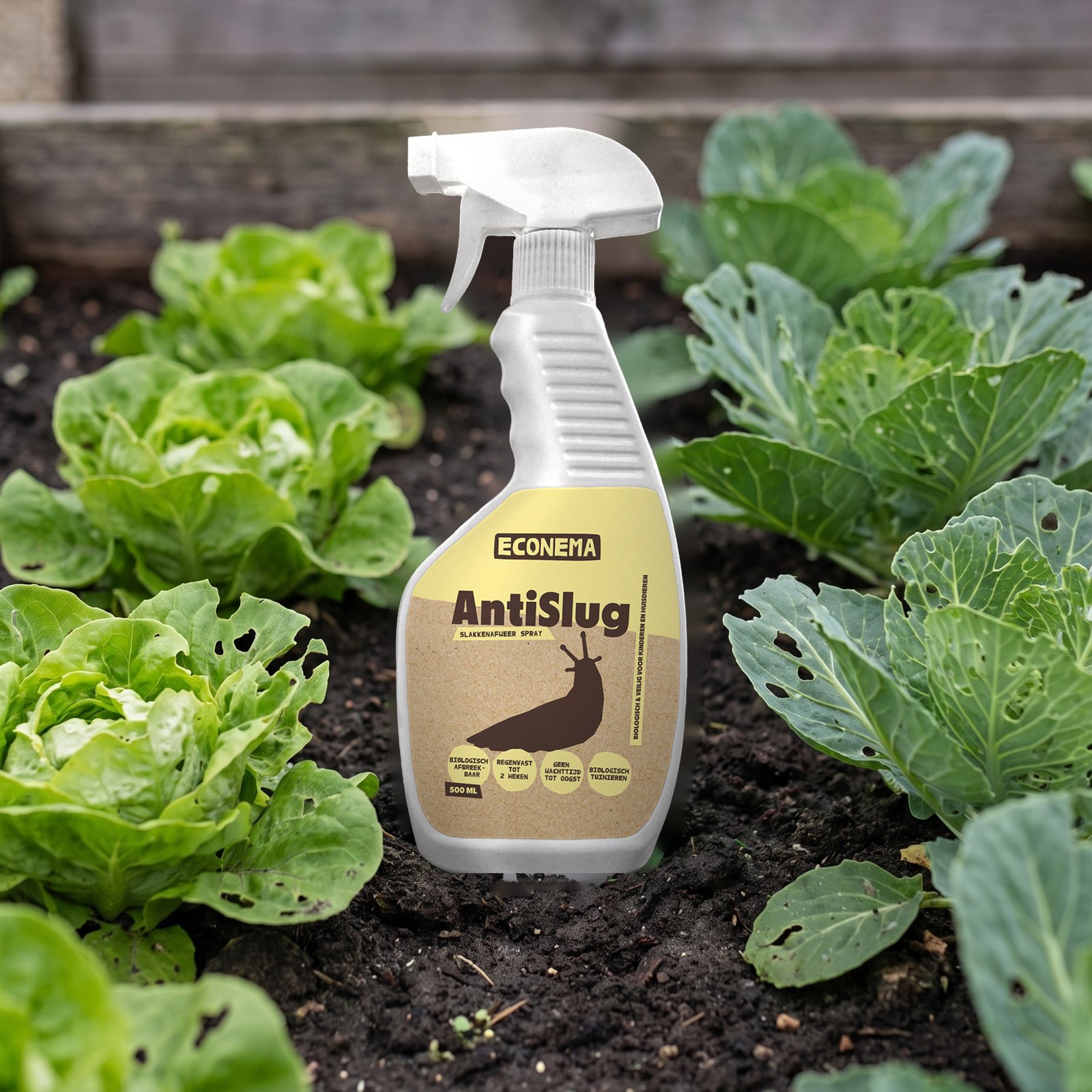 AntiSlug slakkenspray in de moestuin