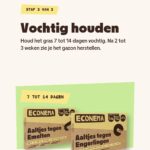 Stap 3: houd het gazon 7 tot 14 dagen vochtig na de behandeling