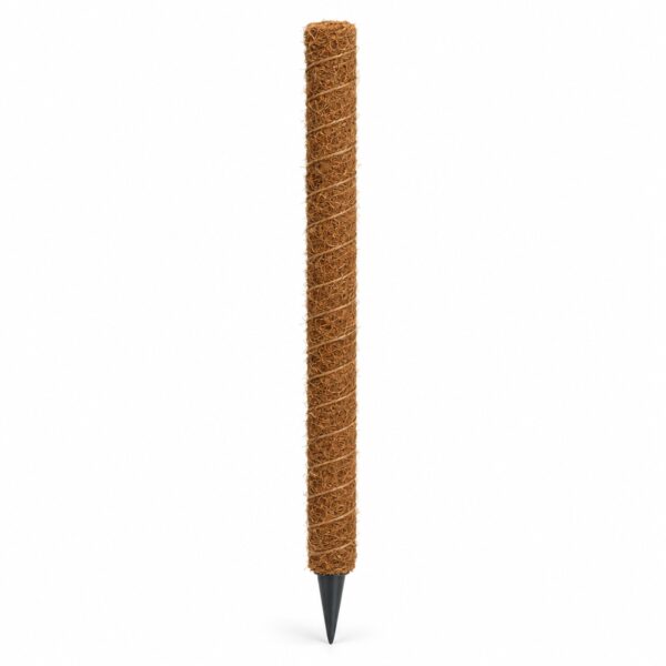 Mosstok van kokosvezel, 40 cm, voor klimplanten