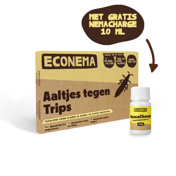 Aaltjes tegen trips 10 m² met gratis NemaCharge 10 ml